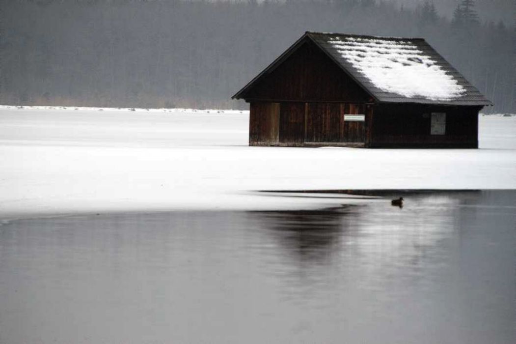 Nom de l'image : D1104667-nef-01_(c)Norbert-JUNG — Description :